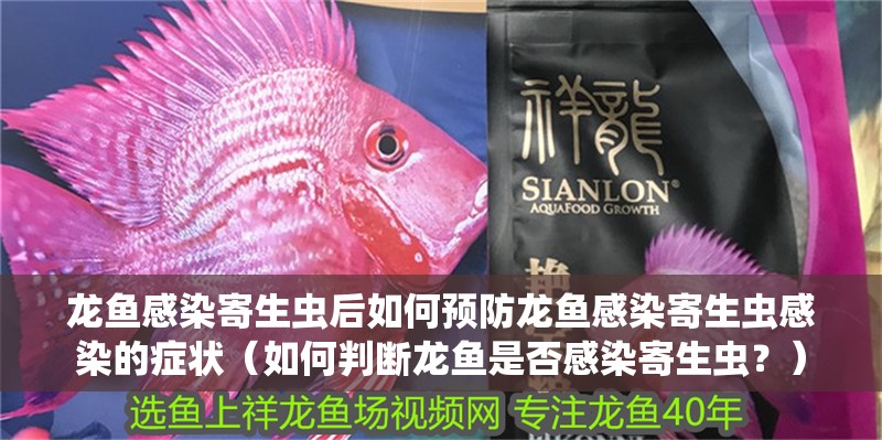 龍魚感染寄生蟲后如何預防龍魚感染寄生蟲感染的癥狀（如何判斷龍魚是否感染寄生蟲？）