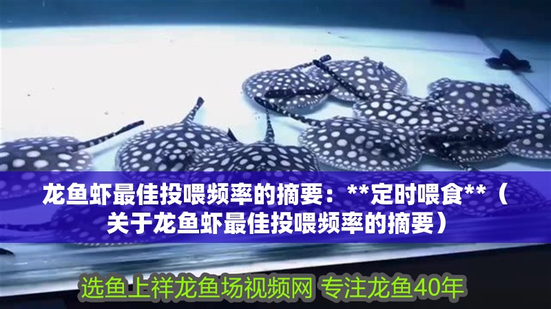 龍魚蝦最佳投喂頻率的摘要：**定時喂食**（關于龍魚蝦最佳投喂頻率的摘要）
