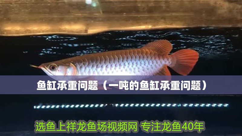 魚缸承重問題（一噸的魚缸承重問題）