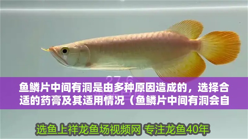 魚鱗片中間有洞是由多種原因造成的，選擇合適的藥膏及其適用情況（魚鱗片中間有洞會自愈嗎？）