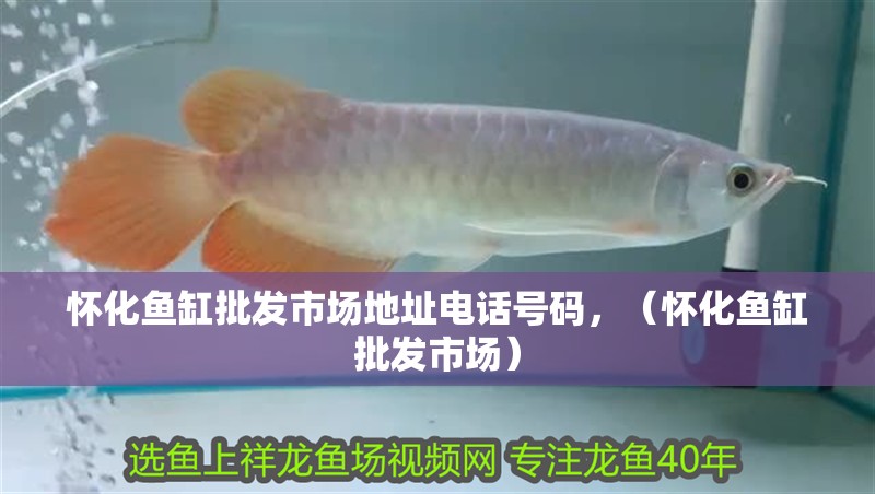 懷化魚缸批發市場地址電話號碼，（懷化魚缸批發市場）