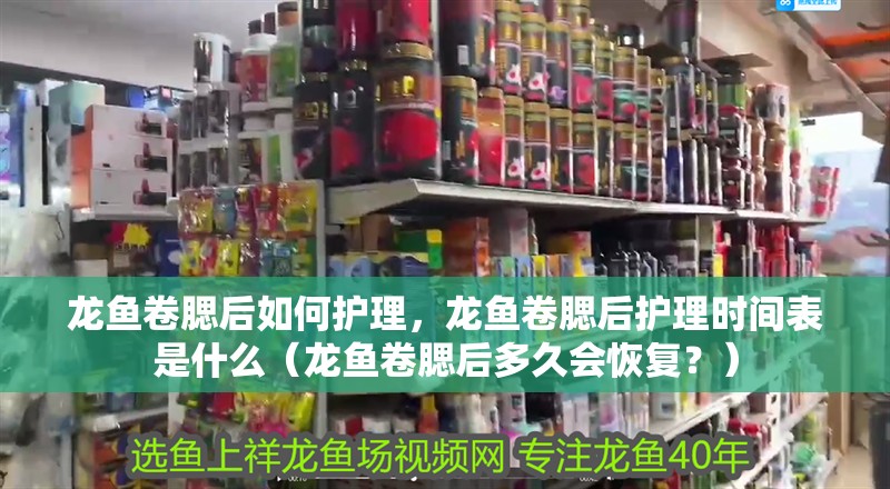 龍魚卷腮后如何護理，龍魚卷腮后護理時間表是什么（龍魚卷腮后多久會恢復？）