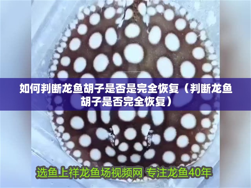 如何判斷龍魚胡子是否是完全恢復（判斷龍魚胡子是否完全恢復）