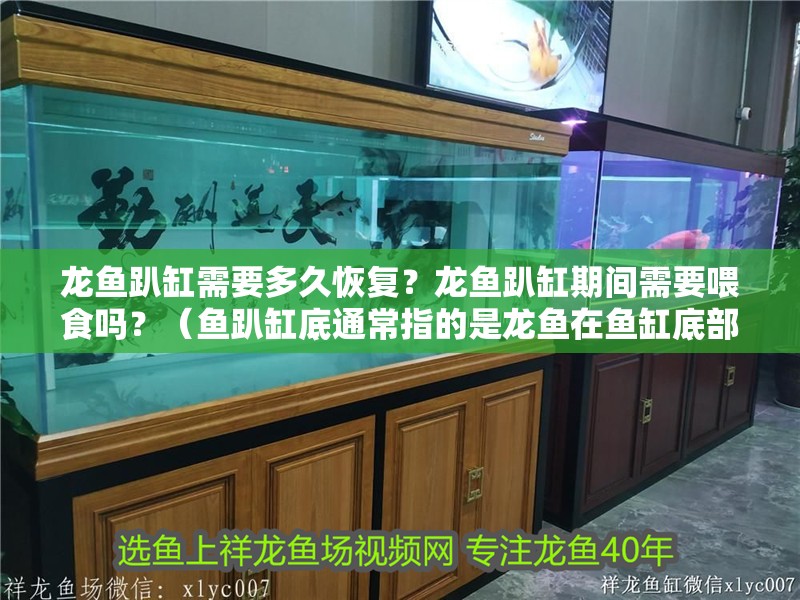 龍魚(yú)趴缸需要多久恢復(fù)？龍魚(yú)趴缸期間需要喂食嗎？（魚(yú)趴缸底通常指的是龍魚(yú)在魚(yú)缸底部停留或靠近底部的行為）