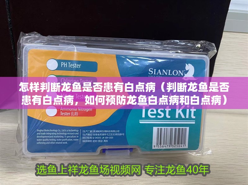 怎樣判斷龍魚是否患有白點病（判斷龍魚是否患有白點病，如何預防龍魚白點病和白點病）