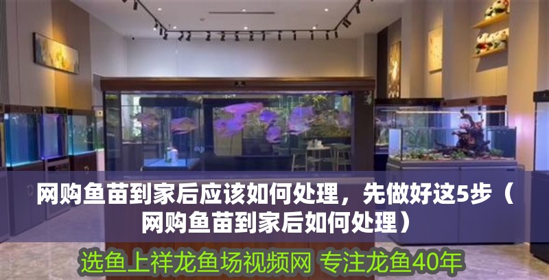 網購魚苗到家后應該如何處理，先做好這5步（網購魚苗到家后如何處理）