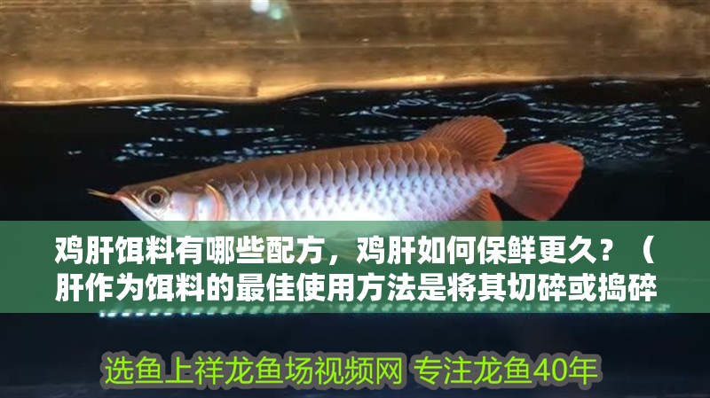 雞肝餌料有哪些配方，雞肝如何保鮮更久？（肝作為餌料的最佳使用方法是將其切碎或搗碎或搗碎或搗碎）