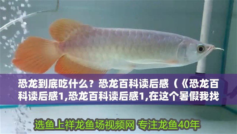 恐龍到底吃什么？恐龍百科讀后感（《恐龍百科讀后感1,恐龍百科讀后感1,在這個暑假我找到了一本）