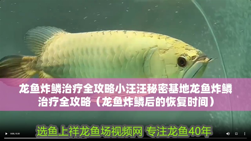 龍魚炸鱗治療全攻略小汪汪秘密基地龍魚炸鱗治療全攻略（龍魚炸鱗后的恢復時間）