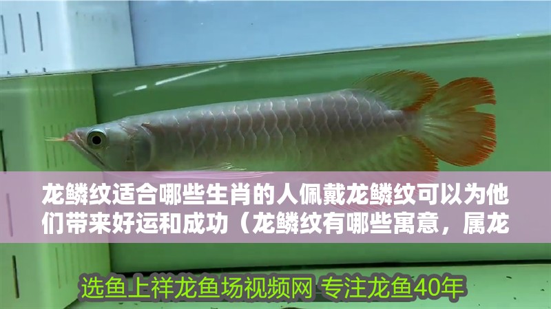 龍鱗紋適合哪些生肖的人佩戴龍鱗紋可以為他們帶來好運和成功（龍鱗紋有哪些寓意，屬龍的人紋龍鱗紋需要注意什么）