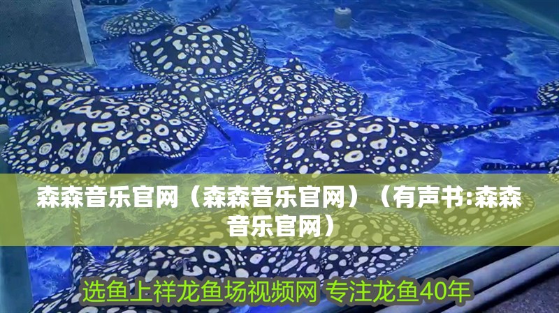 森森音樂官網（森森音樂官網）（有聲書:森森音樂官網）