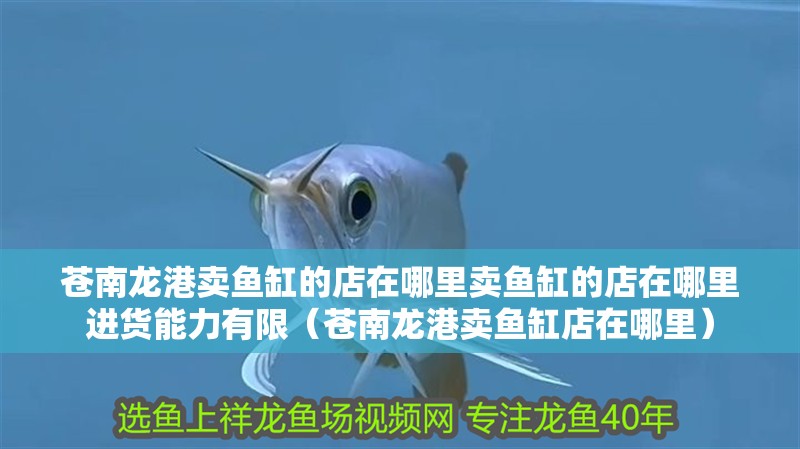 蒼南龍港賣魚缸的店在哪里賣魚缸的店在哪里進貨能力有限（蒼南龍港賣魚缸店在哪里）