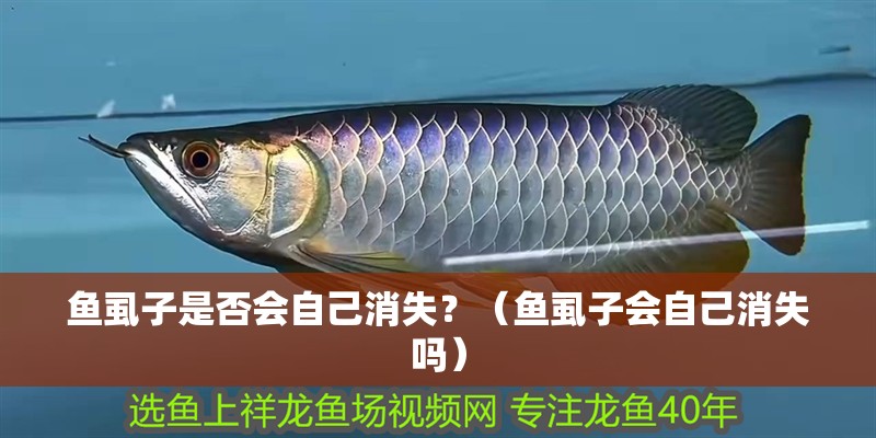 魚虱子是否會自己消失？（魚虱子會自己消失嗎）