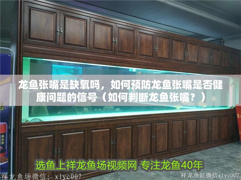 龍魚張嘴是缺氧嗎，如何預防龍魚張嘴是否健康問題的信號（如何判斷龍魚張嘴？）