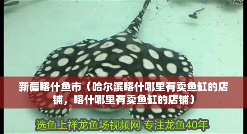 <strong><mark>新疆</mark></strong>喀什魚市（哈爾濱喀什哪里有賣魚缸的店鋪，喀什哪里有賣魚缸的店鋪）