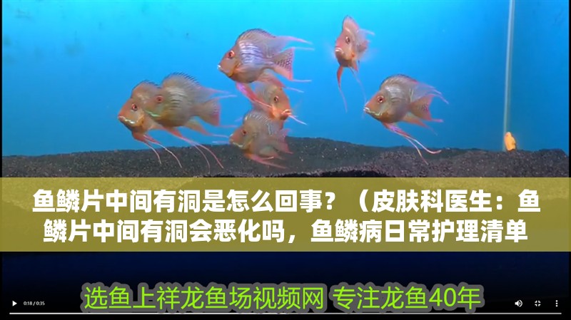 魚鱗片中間有洞是怎么回事？（皮膚科醫生：魚鱗片中間有洞會惡化嗎，魚鱗病日常護理清單）