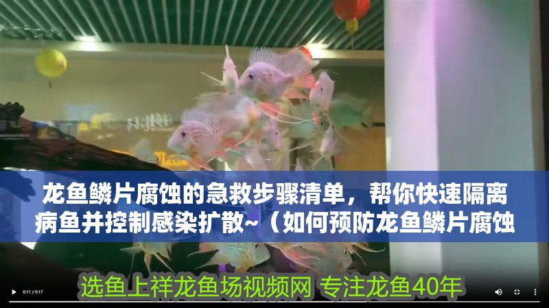 龍魚鱗片腐蝕的急救步驟清單，幫你快速隔離病魚并控制感染擴散~（如何預防龍魚鱗片腐蝕）