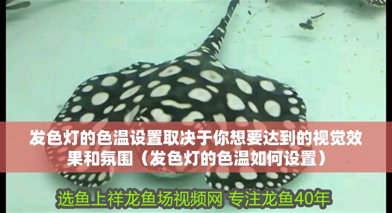 發(fā)色燈的色溫設(shè)置取決于你想要達(dá)到的視覺(jué)效果和氛圍（發(fā)色燈的色溫如何設(shè)置）