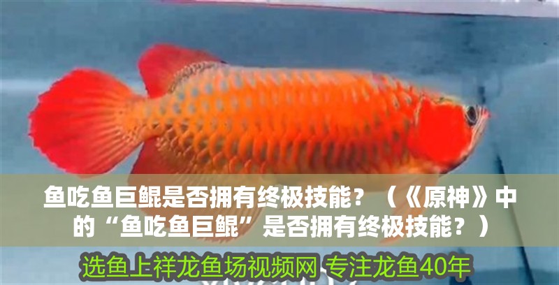 魚吃魚巨鯤是否擁有終極技能？（《原神》中的“魚吃魚巨鯤”是否擁有終極技能？）