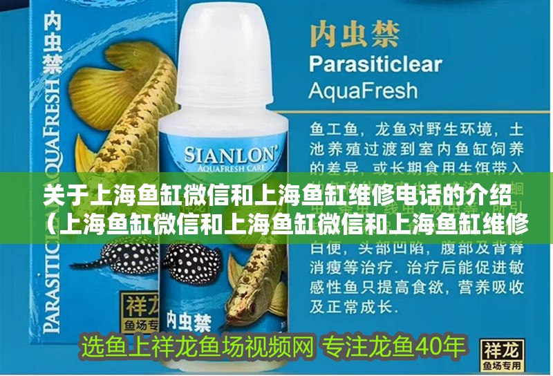 關(guān)于上海魚缸微信和上海魚缸維修電話的介紹（上海魚缸微信和上海魚缸微信和上海魚缸維修電話介紹）
