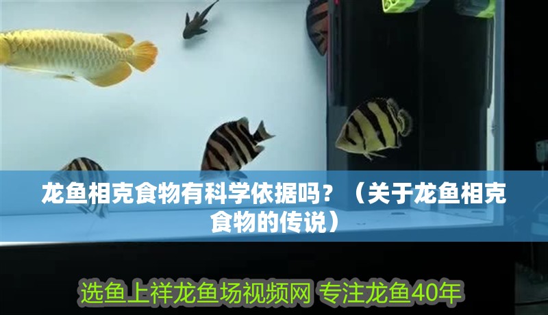龍魚相克食物有科學依據嗎？（關于龍魚相克食物的傳說）