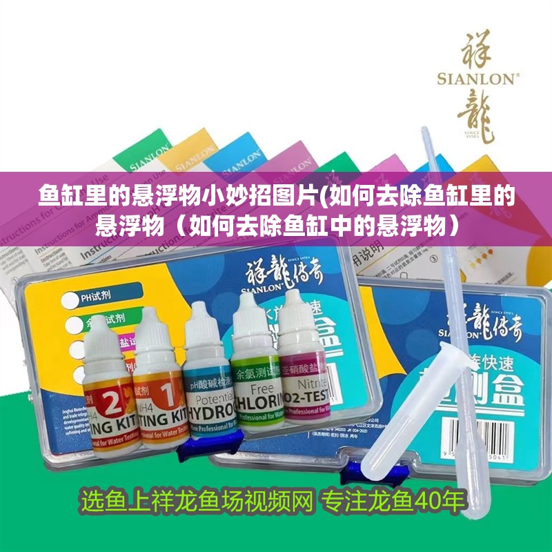 魚缸里的懸浮物小妙招圖片(如何去除魚缸里的懸浮物（如何去除魚缸中的懸浮物）