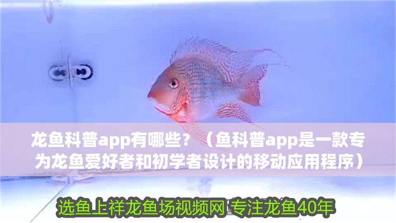 魚缸用增氧泵價格是多少:魚缸增氧機-xtrac增氧機-xtrac增氧機 龍魚科普app有哪些?(魚科普app是一款專為龍魚愛好者和初學者設計的移動應用程序) 龍魚百科 龍魚科普app有哪些?(魚科普app是一款專為龍魚愛好者和初學者設計的移動應用程序) 龍魚科普app有哪些?(魚科普app是一款專為龍魚愛好者和初學者設計的移動應用程序) 龍魚百科