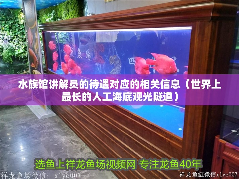 水族館講解員的待遇對應的相關信息（世界上最長的人工海底觀光隧道）