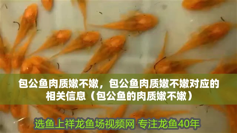 包公魚肉質嫩不嫩，包公魚肉質嫩不嫩對應的相關信息（包公魚的肉質嫩不嫩）