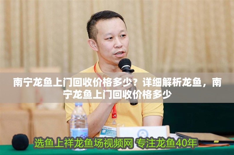 南寧龍魚上門回收價格多少？詳細解析龍魚，南寧龍魚上門回收價格多少