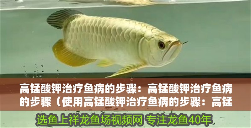 高錳酸鉀治療魚病的步驟：高錳酸鉀治療魚病的步驟（使用高錳酸鉀治療魚病的步驟：高錳酸鉀治療魚病的步驟）