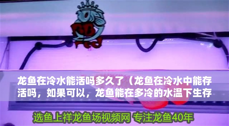 龍魚在冷水能活嗎多久了（龍魚在冷水中能存活嗎，如果可以，龍魚能在多冷的水溫下生存）