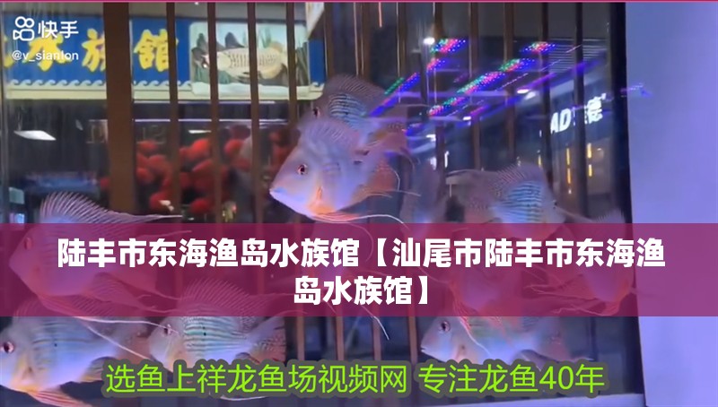 陸豐市東海漁島水族館【汕尾市陸豐市東海漁島水族館】