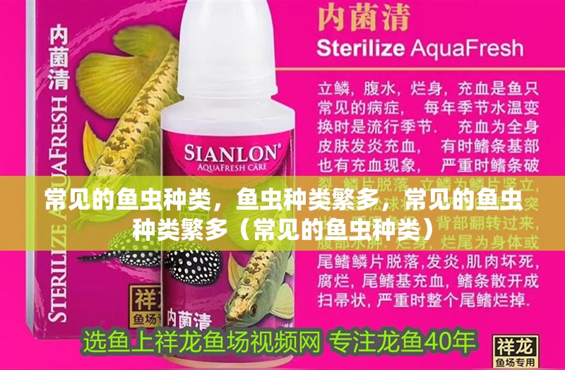 常見的魚蟲種類，魚蟲種類繁多，常見的魚蟲種類繁多（常見的魚蟲種類）