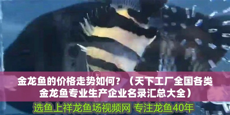 金龍魚的價格走勢如何？（天下工廠全國各類金龍魚專業生產企業名錄匯總大全）