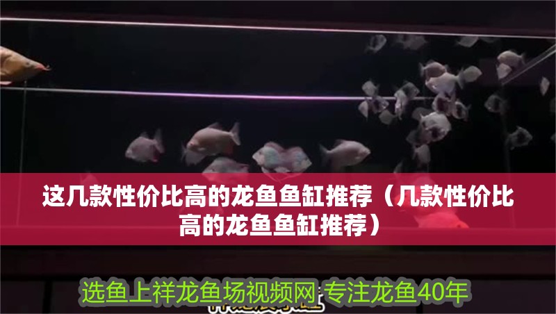 這幾款性價比高的龍魚魚缸推薦（幾款性價比高的龍魚魚缸推薦）