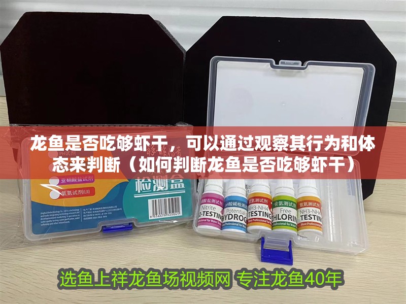 龍魚是否吃夠蝦干，可以通過觀察其行為和體態來判斷（如何判斷龍魚是否吃夠蝦干）