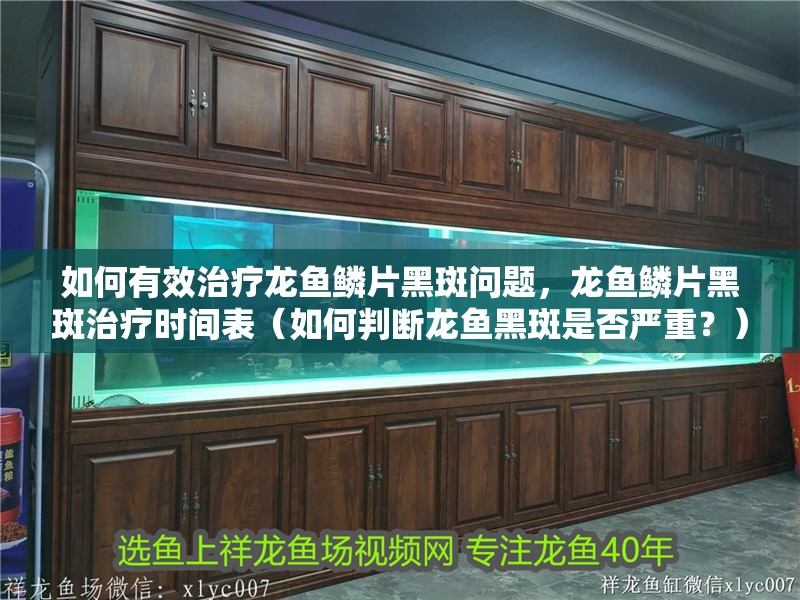 如何有效治療龍魚鱗片黑斑問題，龍魚鱗片黑斑治療時間表（如何判斷龍魚黑斑是否嚴重？）