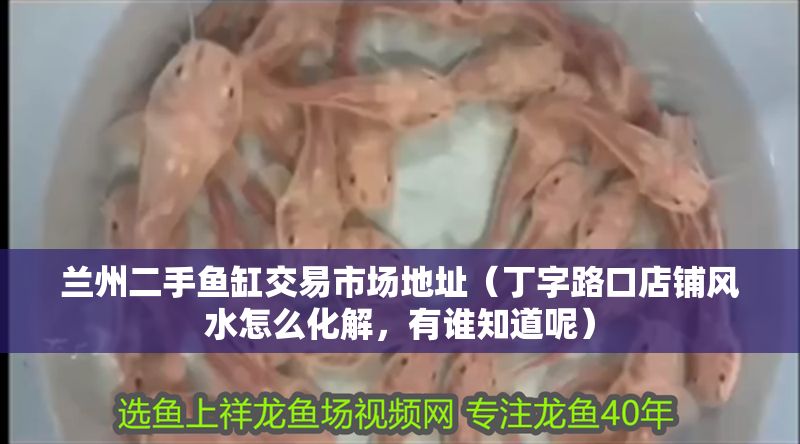 蘭州二手魚缸交易市場地址(丁字路口店鋪風水怎么化解,有誰知道呢) 全國水族館企業名錄 第1張 蘭州二手魚缸交易市場地址(丁字路口店鋪風水怎么化解,有誰知道呢) 蘭州二手魚缸交易市場地址(丁字路口店鋪風水怎么化解,有誰知道呢) 全國水族館企業名錄 第1張