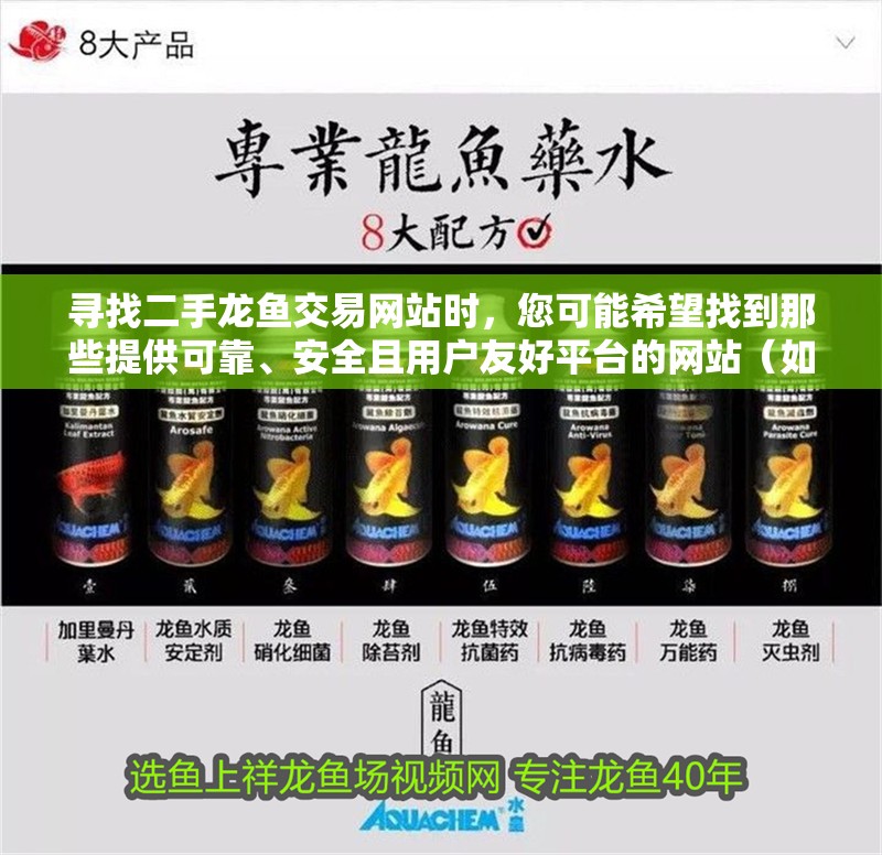 尋找二手龍魚交易網站時，您可能希望找到那些提供可靠、安全且用戶友好平臺的網站（如何找到二手龍魚交易網站）