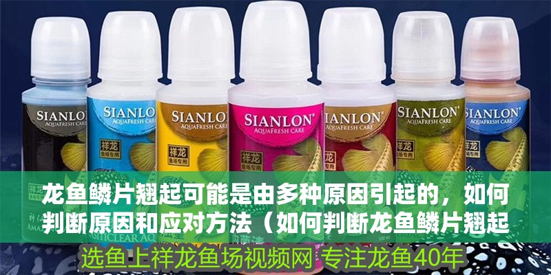 龍魚鱗片翹起可能是由多種原因引起的，如何判斷原因和應對方法（如何判斷龍魚鱗片翹起？）
