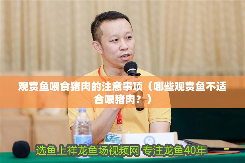 觀賞魚喂食豬肉的注意事項（哪些觀賞魚不適合喂豬肉？）