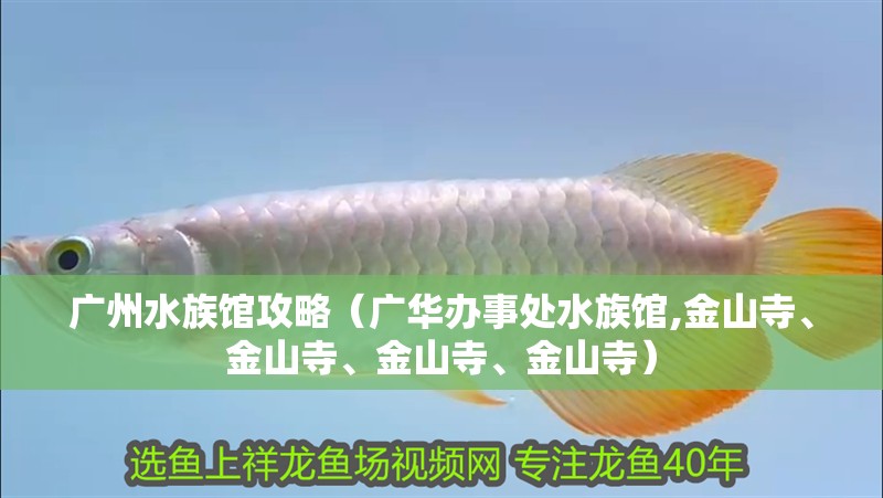 廣州水族館攻略（廣華辦事處水族館,金山寺、金山寺、金山寺、金山寺）