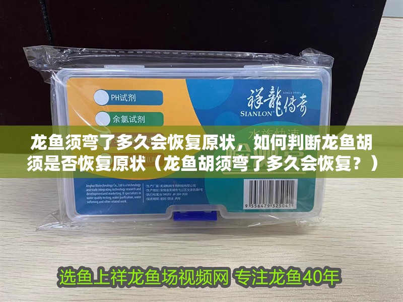 龍魚須彎了多久會(huì)恢復(fù)原狀，如何判斷龍魚胡須是否恢復(fù)原狀（龍魚胡須彎了多久會(huì)恢復(fù)？）