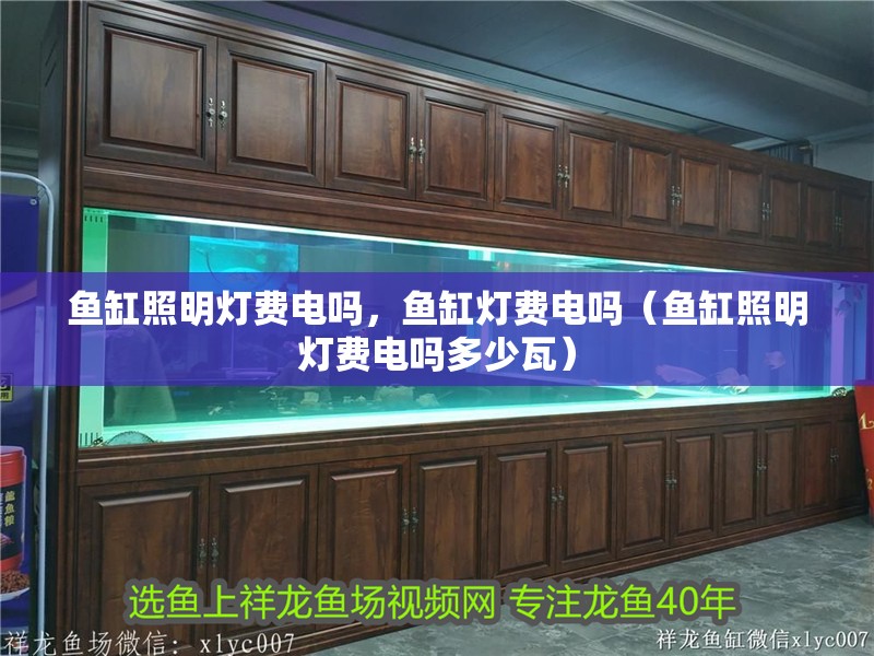 鸚鵡魚和銀龍魚混養怎樣喂食 魚缸照明燈費電嗎,魚缸燈費電嗎(魚缸照明燈費電嗎多少瓦) 觀賞魚百科 魚缸照明燈費電嗎,魚缸燈費電嗎(魚缸照明燈費電嗎多少瓦) 魚缸照明燈費電嗎,魚缸燈費電嗎(魚缸照明燈費電嗎多少瓦) 觀賞魚百科