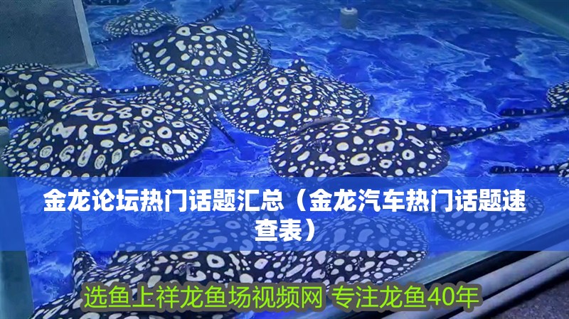 金龍論壇熱門話題匯總（金龍汽車熱門話題速查表）
