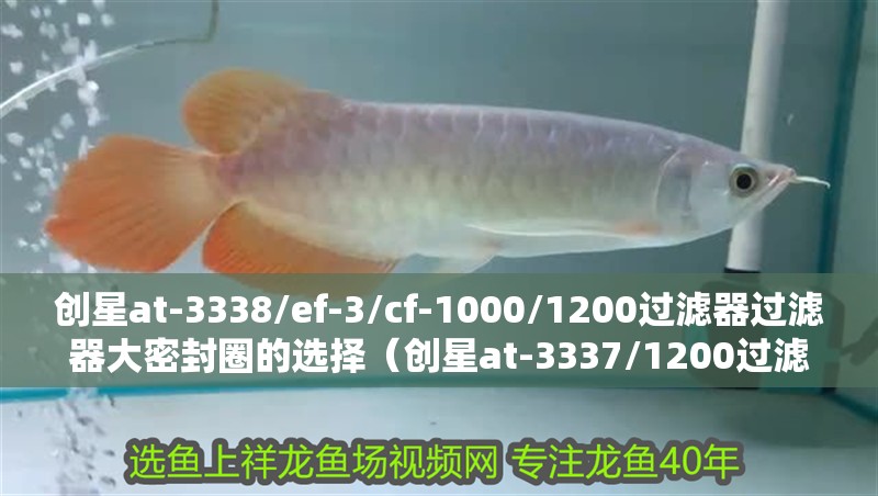 創(chuàng)星at-3338/ef-3/cf-1000/1200過(guò)濾器過(guò)濾器大密封圈的選擇（創(chuàng)星at-3337/1200過(guò)濾器過(guò)濾桶大密封圈）