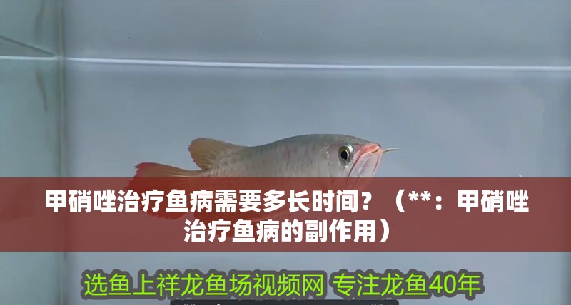 甲硝唑治療魚病需要多長時間？（**：甲硝唑治療魚病的副作用）