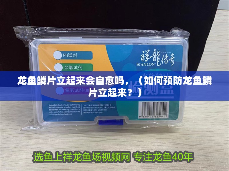 龍魚鱗片立起來會自愈嗎，（如何預防龍魚鱗片立起來？） 龍魚鱗片立起來會自愈嗎，（如何預防龍魚鱗片立起來？） 龍魚百科