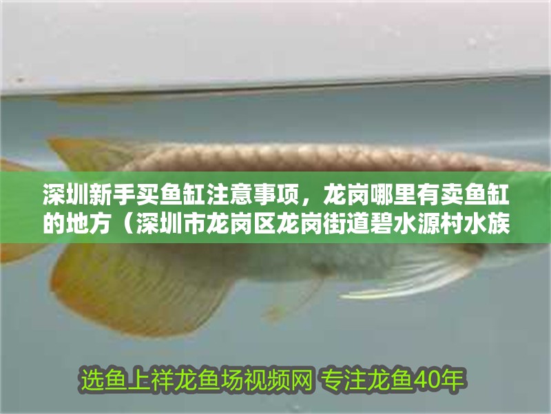 深圳新手買魚缸注意事項，龍崗哪里有賣魚缸的地方（深圳市龍崗區龍崗街道碧水源村水族市場）
